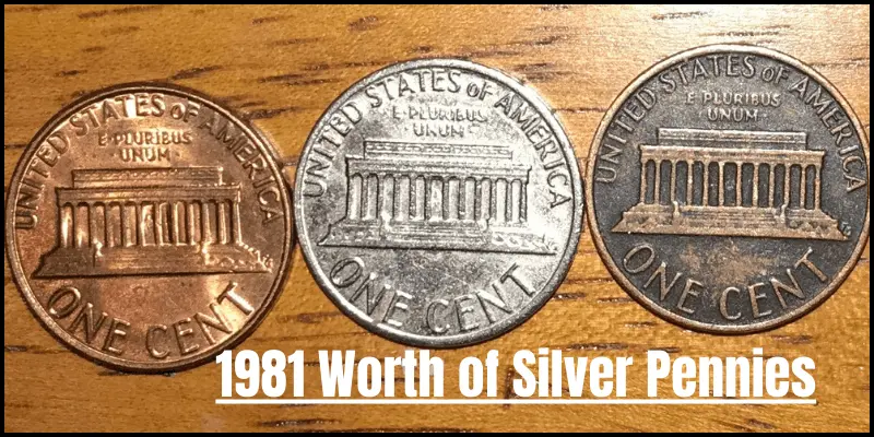 1981 Worth of Silver Pennies - US Coin Apps